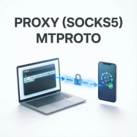 INDIVIDUAL PROXY